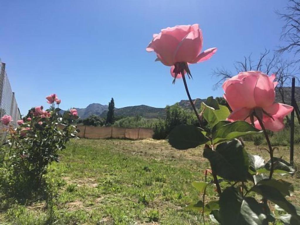 Casa Rural La Maestra 龙达 外观 照片